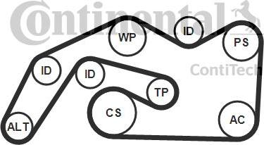 Continental CTAM 6 PK 2490 K1 - V-Ribbed Belt Set www.parts5.com