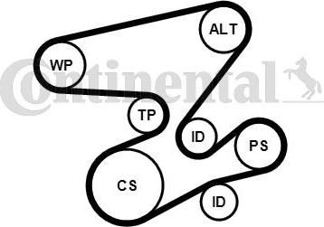 Continental CTAM 6PK2080K1 - Set curea transmisie cu caneluri www.parts5.com