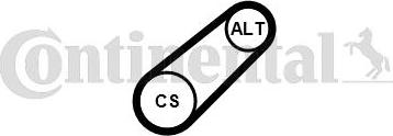 Continental CTAM 6 PK 799 ELAST - V-Ribbed Belt www.parts5.com