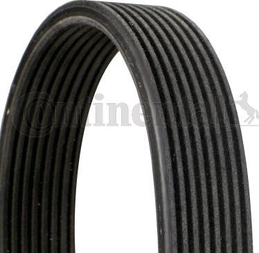 Continental CTAM 8 DPK 1833 - V-Ribbed Belt www.parts5.com