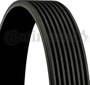 Continental CTAM 8 PK 1955 - V-Ribbed Belt www.parts5.com