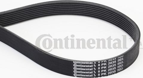 Continental CTAM 8 PK 2035 - Curea transmisie cu caneluri www.parts5.com