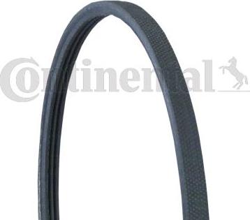 Continental CTAM 3PJ891 - V-Ribbed Belt www.parts5.com