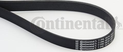 Continental CTAM 7 PK 1970 - Поликлиновой ремень www.parts5.com