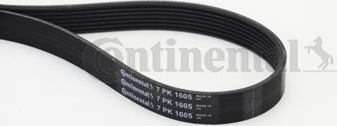 Continental CTAM 7 PK 1605 - Пистов ремък www.parts5.com