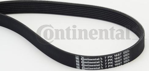 Continental CTAM 7 PK 1687 - Пистов ремък www.parts5.com