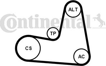 Continental CTAM 7PK1125K1 - Jeu de courroies trapézoïdales à nervures www.parts5.com