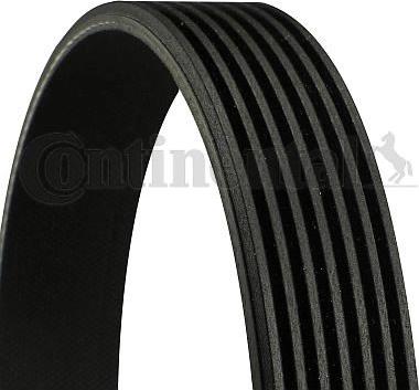 Continental CTAM 7 PK 2045 - V-Ribbed Belt www.parts5.com