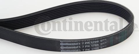 Continental CTAM 7 PK 1705 - Ιμάντας poly-V www.parts5.com