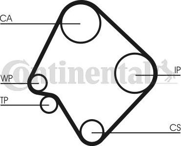 Continental CTAM CT532 - Timing Belt www.parts5.com