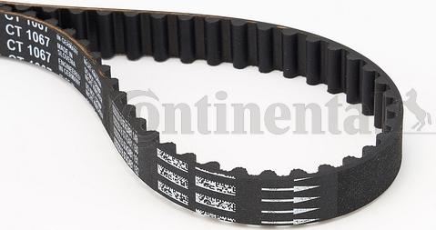 Continental CTAM CT 1067 - Timing Belt www.parts5.com