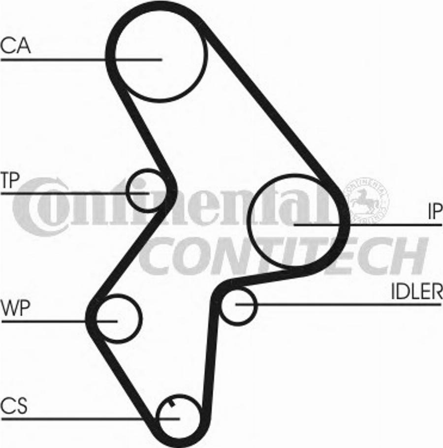 CONTITECH CT1031 - Zahnriemen www.parts5.com