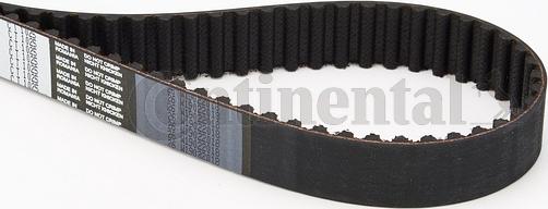 Continental CTAM CT 1025 - Timing Belt www.parts5.com