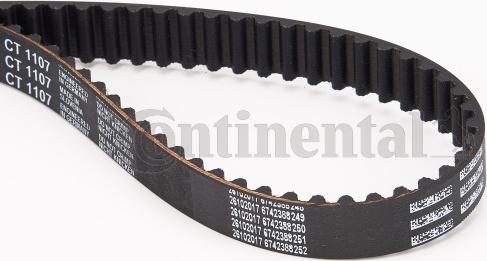 Continental CTAM CT 1107 - Timing Belt www.parts5.com