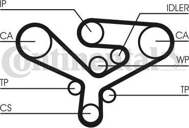 Continental CTAM CT 1135 - Curea de distributie www.parts5.com