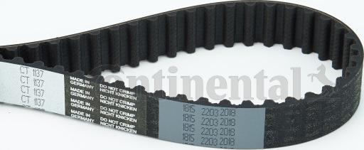 Continental CTAM CT 1137 - Timing Belt www.parts5.com