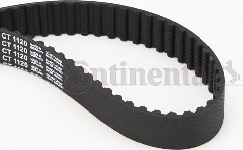 Continental CTAM CT1120 - Timing Belt www.parts5.com