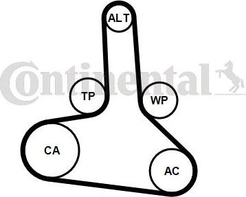 Continental CTAM CT 1245 - Timing Belt www.parts5.com