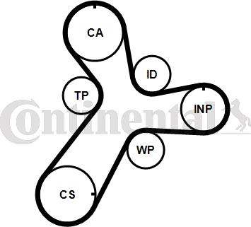 Continental CTAM CT1237WP1 - Water Pump & Timing Belt Set www.parts5.com