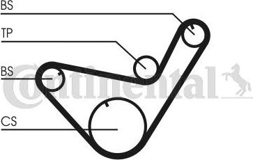 Continental CTAM CT 714 - Timing Belt www.parts5.com