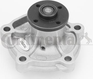 Continental CTAM WPS3137 - Water Pump www.parts5.com