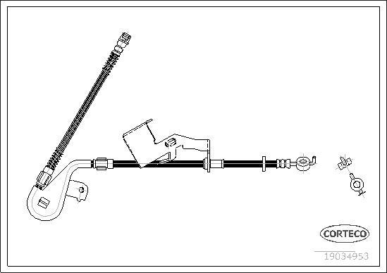 Corteco 19034953 - Brake Hose www.parts5.com