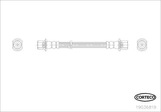 Corteco 19036819 - Brake Hose www.parts5.com