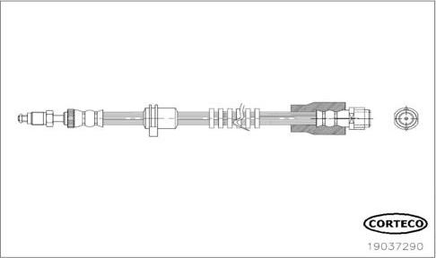 Corteco 19037290 - Brake Hose www.parts5.com