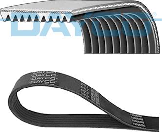 Dayco 10PK1715HD - V-Ribbed Belt www.parts5.com