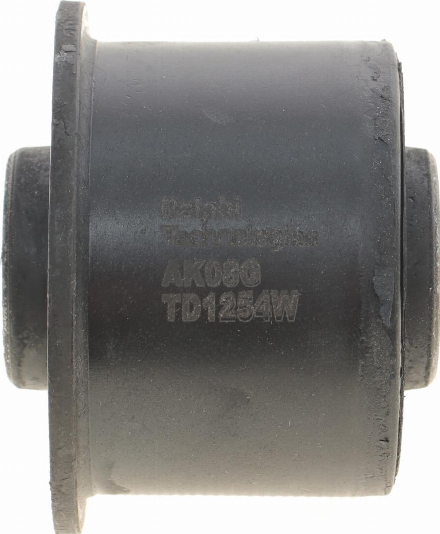 Delphi TD1254W - Łożyskowanie, korpus osi www.parts5.com