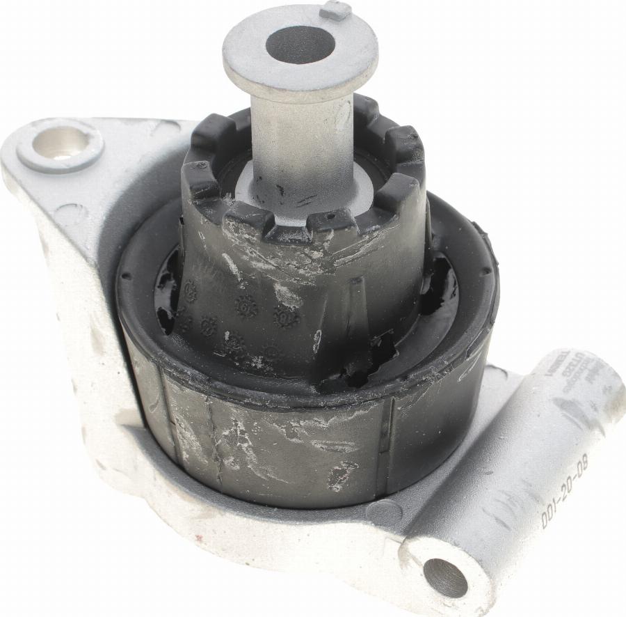 Delphi TEM091 - Holder, engine mounting www.parts5.com