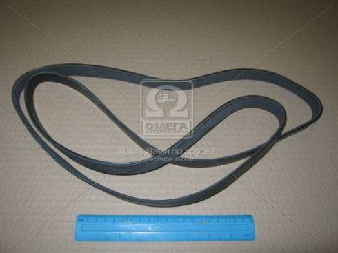 Dongil 6PK1740 - V-Ribbed Belt www.parts5.com