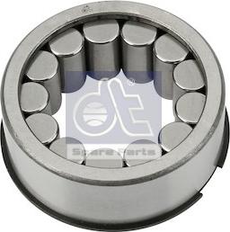 DT Spare Parts 1.17110 - Bearing, differential shaft parts5.com