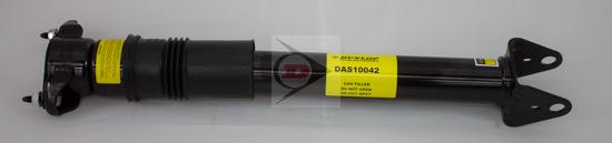Dunlop DAS10042 - Амортизатор www.parts5.com