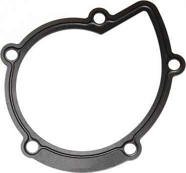 Elring 394.280 - Tesnilo, vodna crpalka www.parts5.com