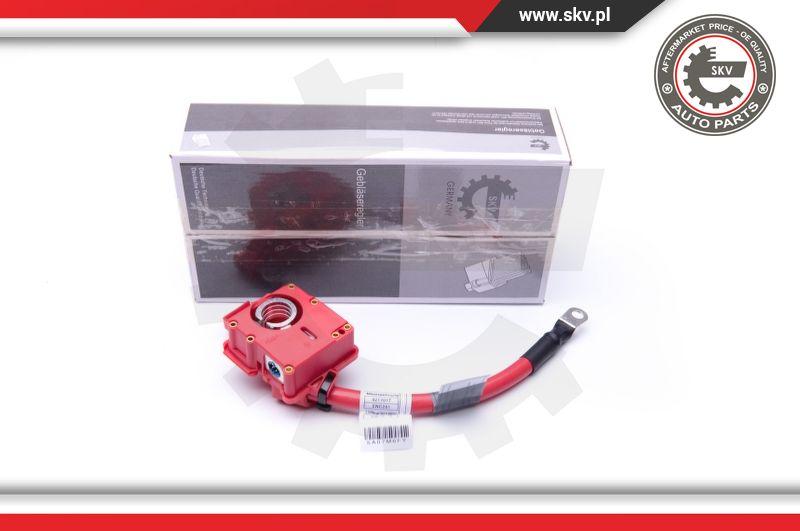 Esen SKV 96SKV309 - Adaptateur de batterie www.parts5.com