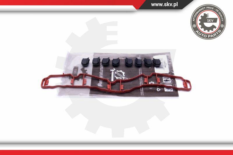 Esen SKV 49SKV514 - Set pentru reparat, modul țeavă de aspirație www.parts5.com