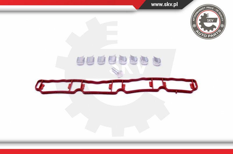 Esen SKV 49SKV510 - Set pentru reparat, modul țeavă de aspirație www.parts5.com