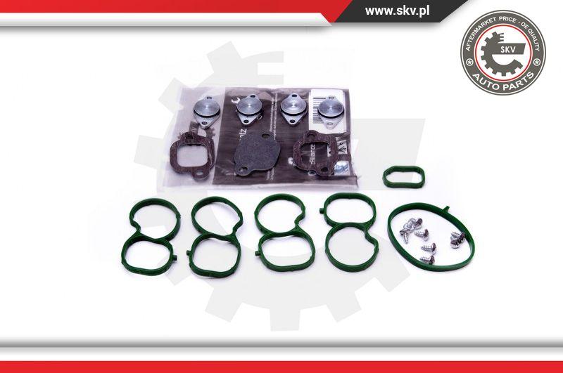 Esen SKV 49SKV512 - Set pentru reparat, modul țeavă de aspirație www.parts5.com