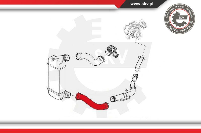 Esen SKV 43SKV081 - Charger Intake Air Hose www.parts5.com