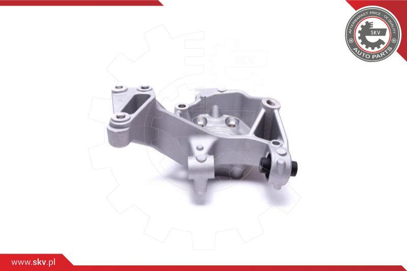 Esen SKV 47SKV812 - Čep nápravy, zavěšení kol www.parts5.com