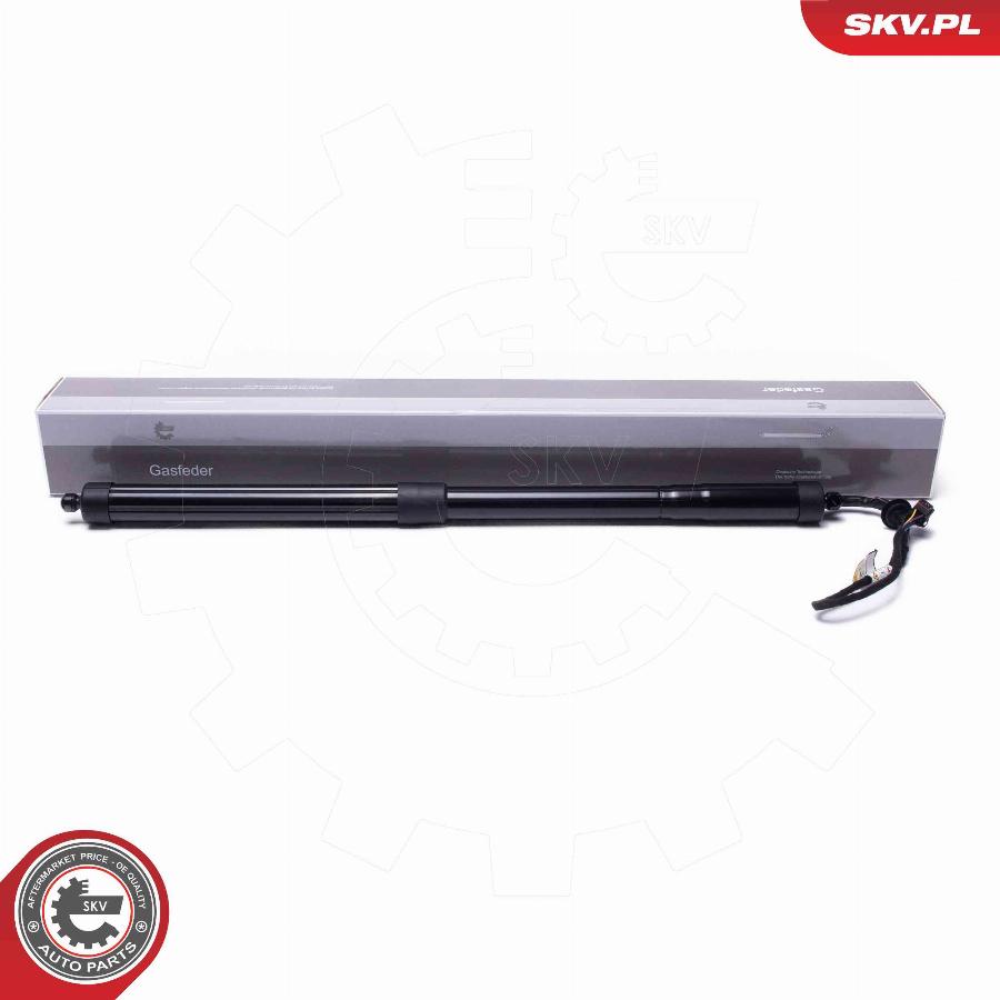 Esen SKV 52SKV954 - Electric Motor, tailgate www.parts5.com