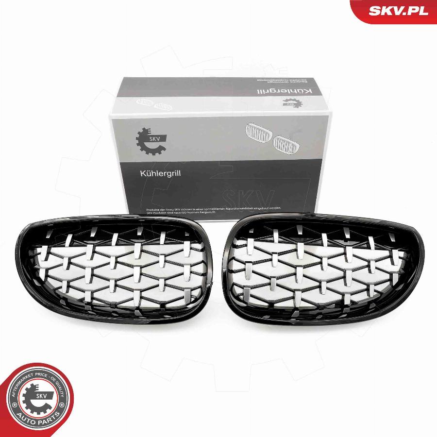 Esen SKV 66SKV175 - Radiator Grille www.parts5.com