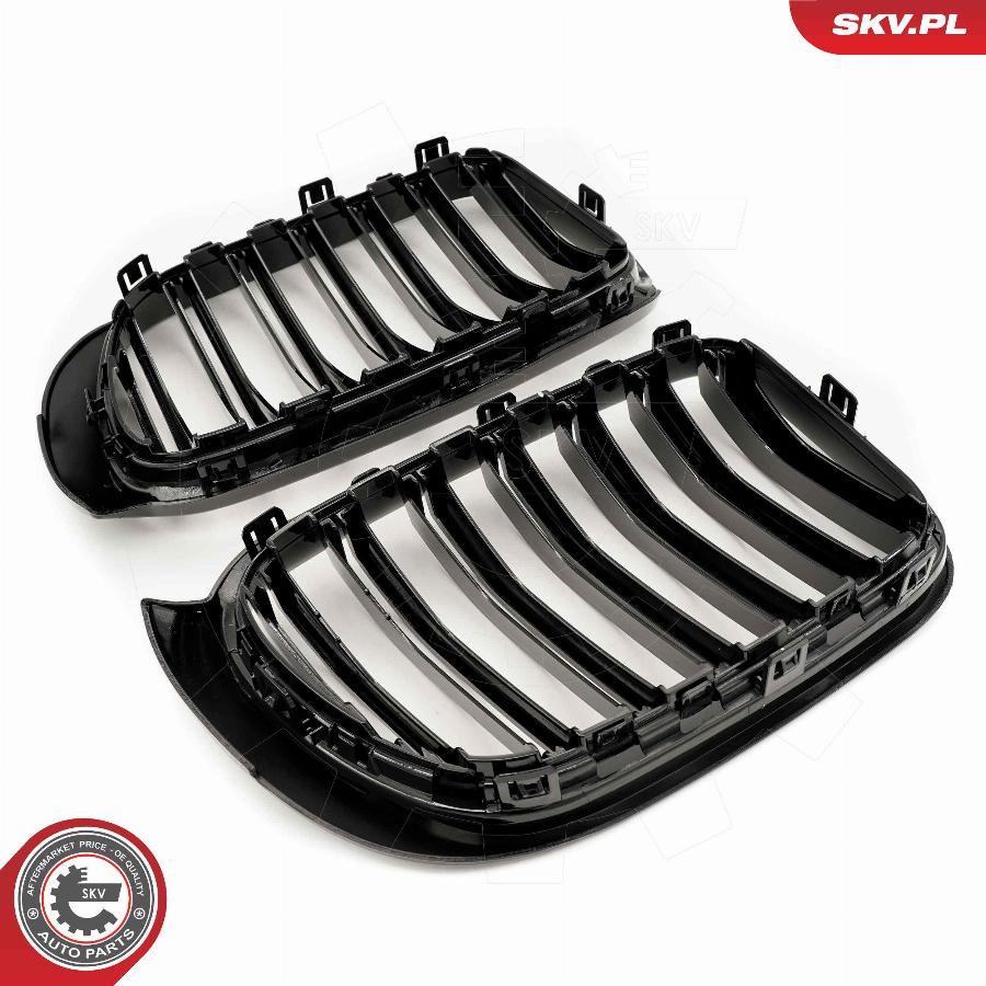 Esen SKV 66SKV255 - Radiator Grille www.parts5.com