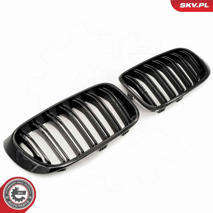 Esen SKV 66SKV255 - Radiator Grille www.parts5.com