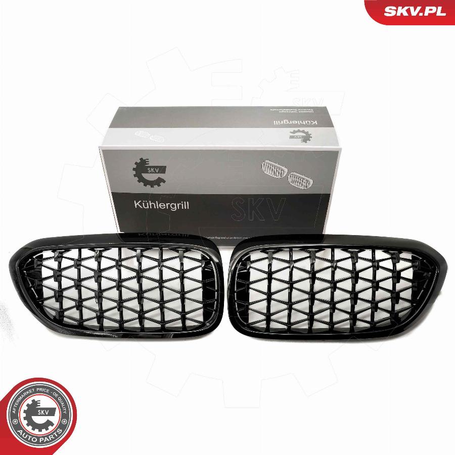 Esen SKV 66SKV200 - Radiator Grille www.parts5.com