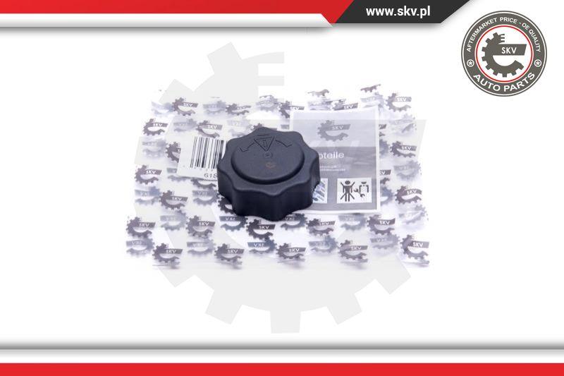 Esen SKV 61SKV016 - Zaporni poklopac, spremnik rashladnog sredstva www.parts5.com