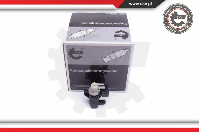 Esen SKV 14SKV915 - Basınç dönüştürücü, turbo şarj www.parts5.com