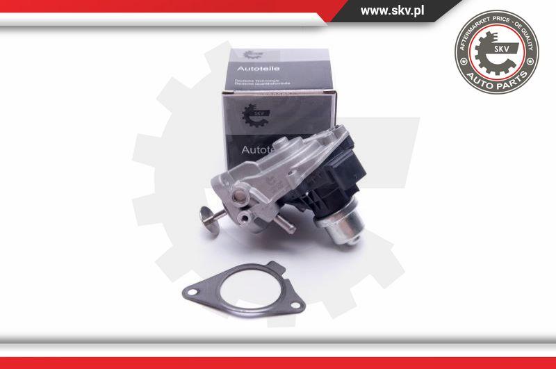 Esen SKV 14SKV233 - EGR Valve www.parts5.com