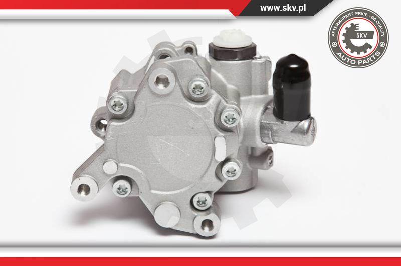 Esen SKV 10SKV043 - Hydraulic Pump, steering system parts5.com